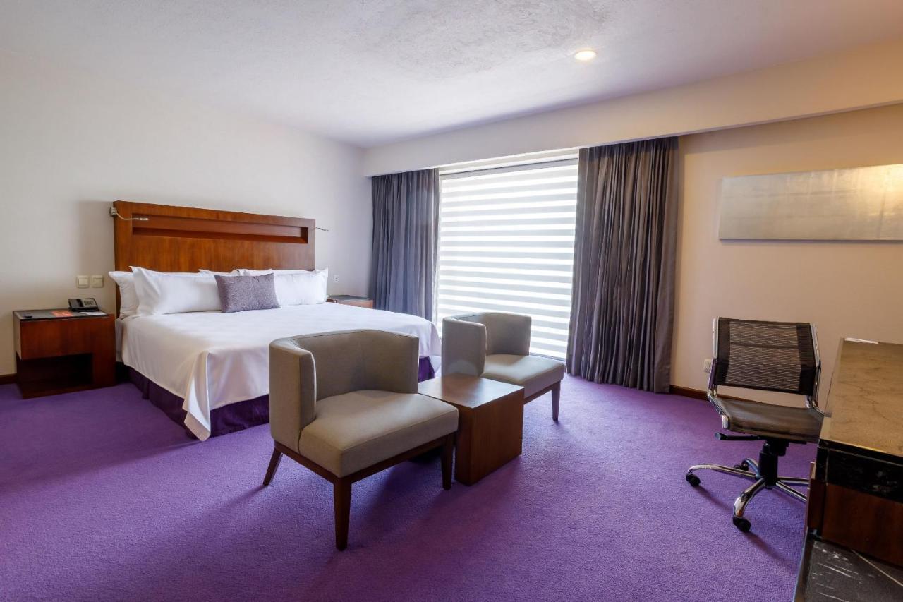 فندق كامينو ريال بيدريجال ميكسيكو مدينة مكسيكو المظهر الخارجي الصورة A room at the hotel