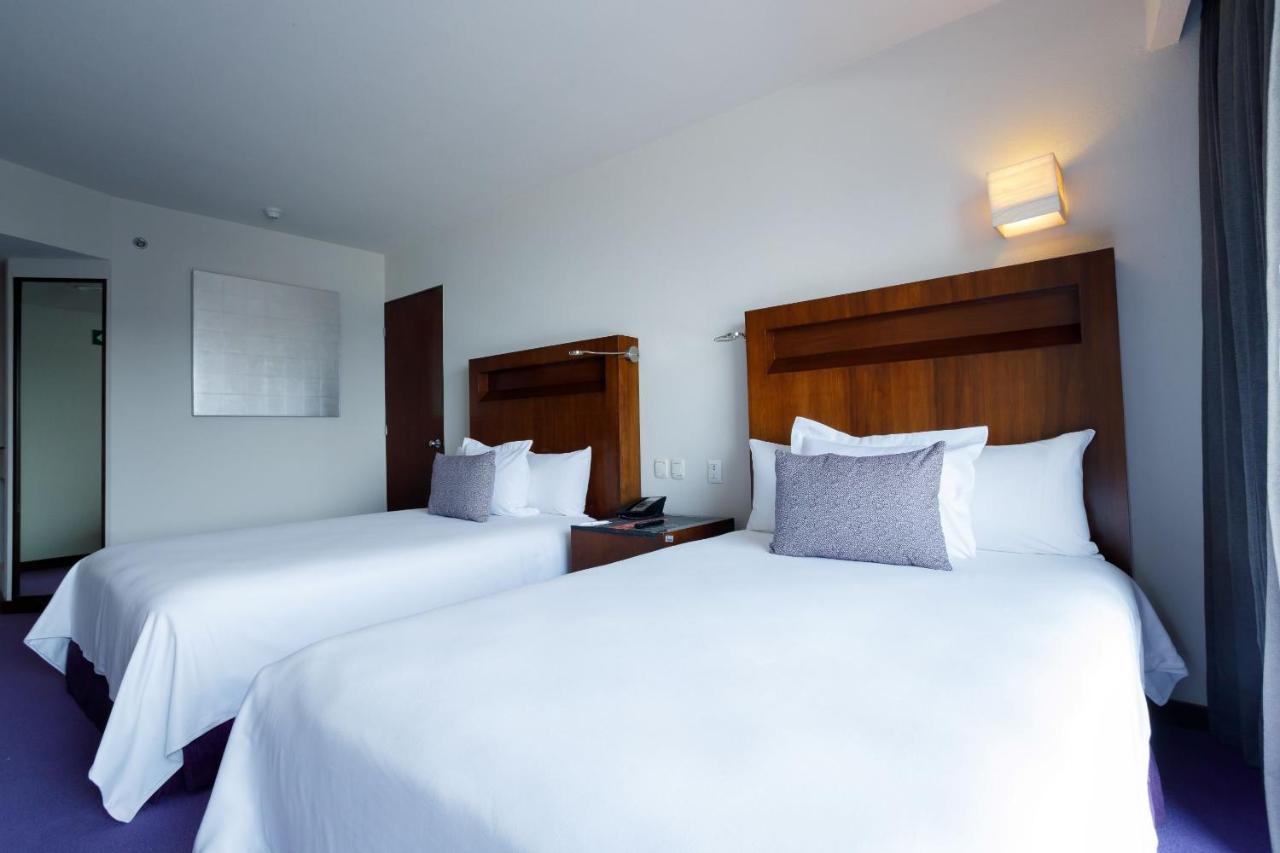 فندق كامينو ريال بيدريجال ميكسيكو مدينة مكسيكو المظهر الخارجي الصورة A typical room at the hotel
